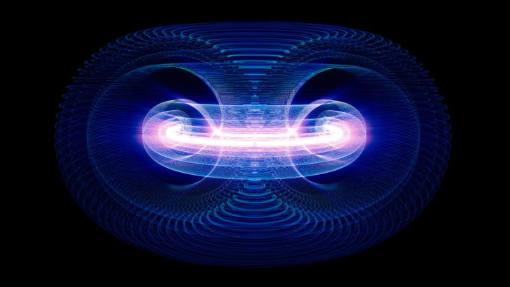 Plasma in a tokamak
