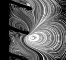 Greyscale microscope image showing the flow pattern created by the moving cilia. The cilia appear as black finger-like objects sticking out of a surface on the left of the image, and the fluid swirls around them in big whorls