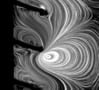Greyscale microscope image showing the flow pattern created by the moving cilia. The cilia appear as black finger-like objects sticking out of a surface on the left of the image, and the fluid swirls around them in big whorls