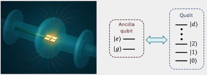 Superconducting innovation: SQMS shapes up for scalable success in ...