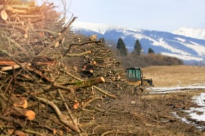 stack of waste wood stored at the edge of woodland and fields