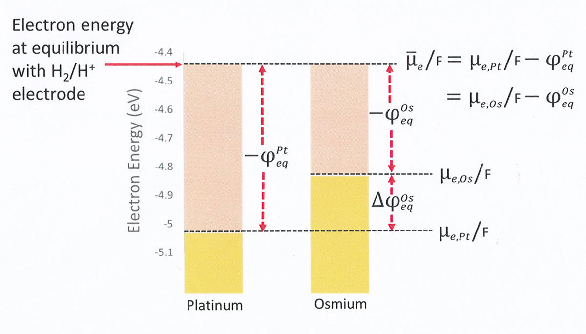 bv graphic main image