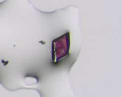 Microscope image of a centrosymmetric crystal