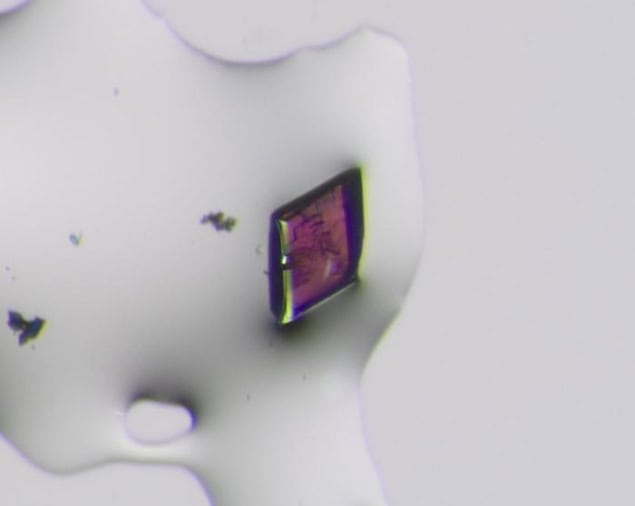 Microscope image of a centrosymmetric crystal