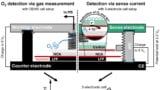 webinar feature image