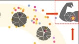 scientific illustration