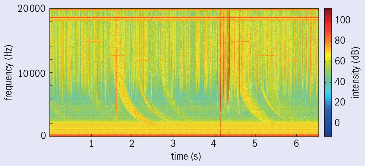 Spectrogram