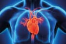 Medical Image of the human heart