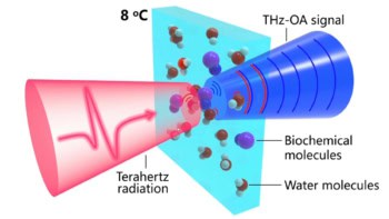 Terahertz optoacoustics