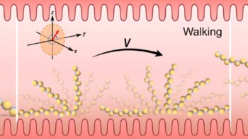 Permanent magnetic droplet-derived microrobots