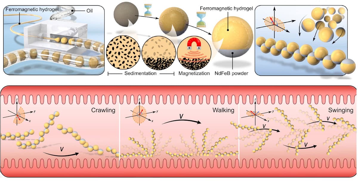 Permanent magnetic droplet-derived microrobots