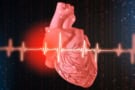 Heart illustration with ECG trace