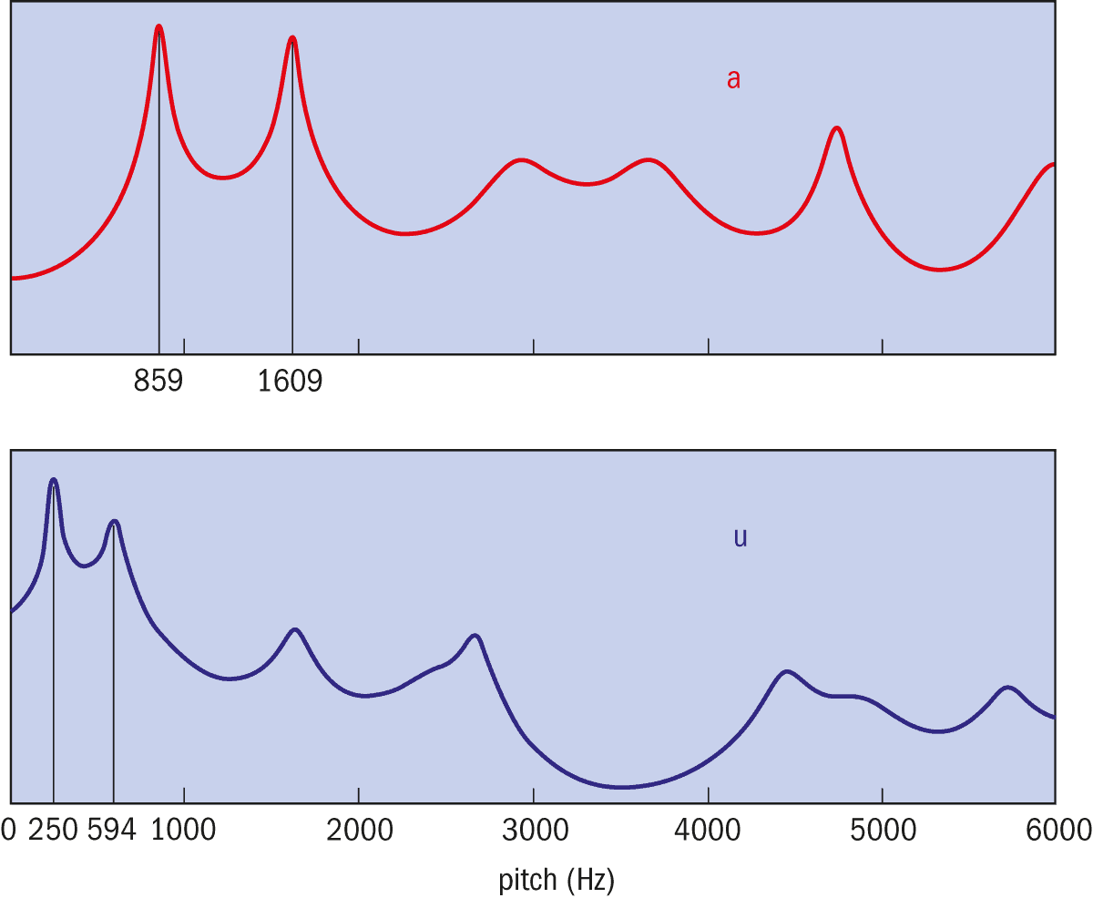 Figure 1: Graph showing examples of two vowel sounds in the frequency domain