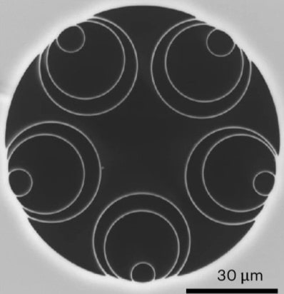 Image of the hollow-core fibre, a circle with a black background and five sets of three nested white circles around its inner edge