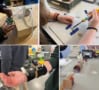 Montage of four photos of secondary school pupils doing practical physics projects in a classroom