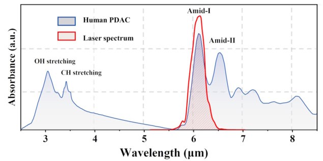 FTIR spectra of PDAC and the laser
