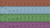 Four time-lapse series of images showing droplets bouncing. There are 13 images in each series and each series of images has a different colour background to distinguish them