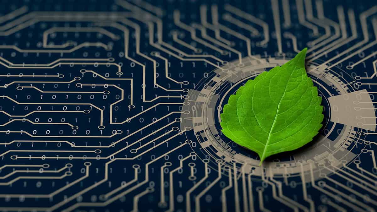 Green leaf on the converging point of computer circuit board