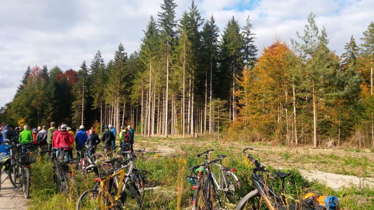 Large group of people and bikes at the edge of a forest