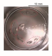 A photo of bubbles forming in a container