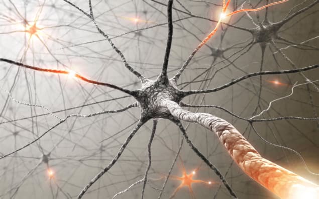 Artist's impression of a biological neural network