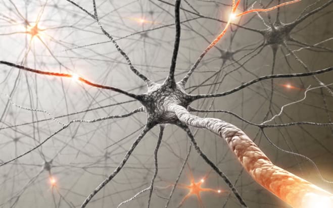 Artist's impression of a biological neural network