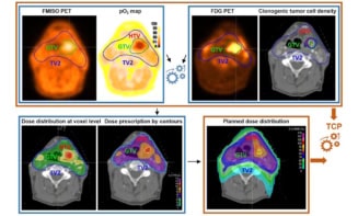 Biology-guided radiotherapy planning