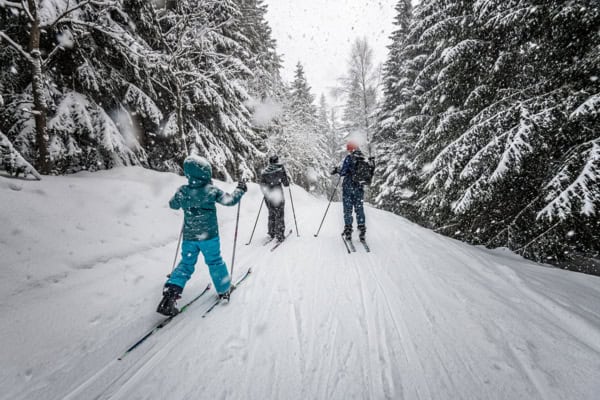 Family skiing through woodland