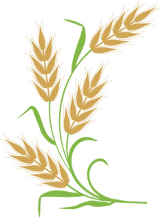 Cartoon graphic of a sheaf of wheat