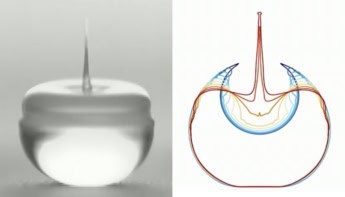 Evolution of a jumping droplet