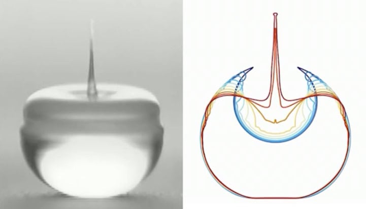 Evolution of a jumping droplet