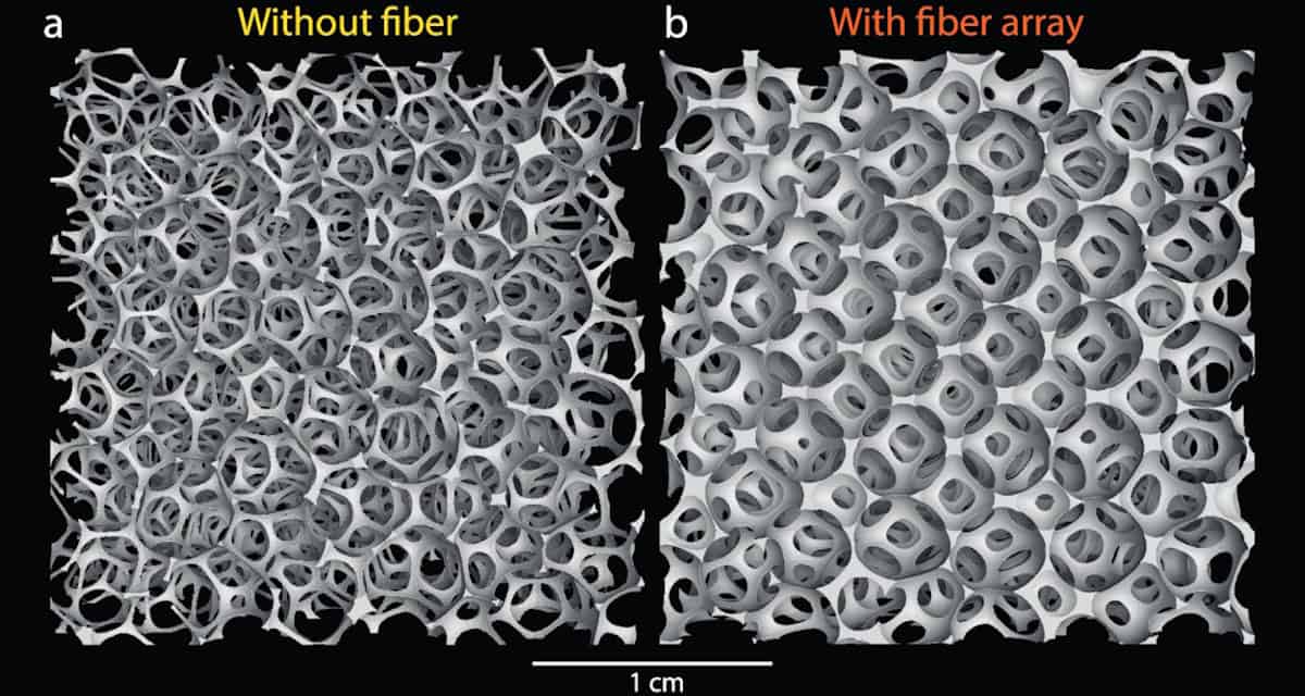 X-ray tomography scans of foams