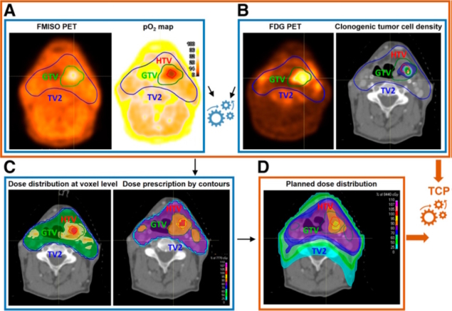 Biologically individualized radiotherapy