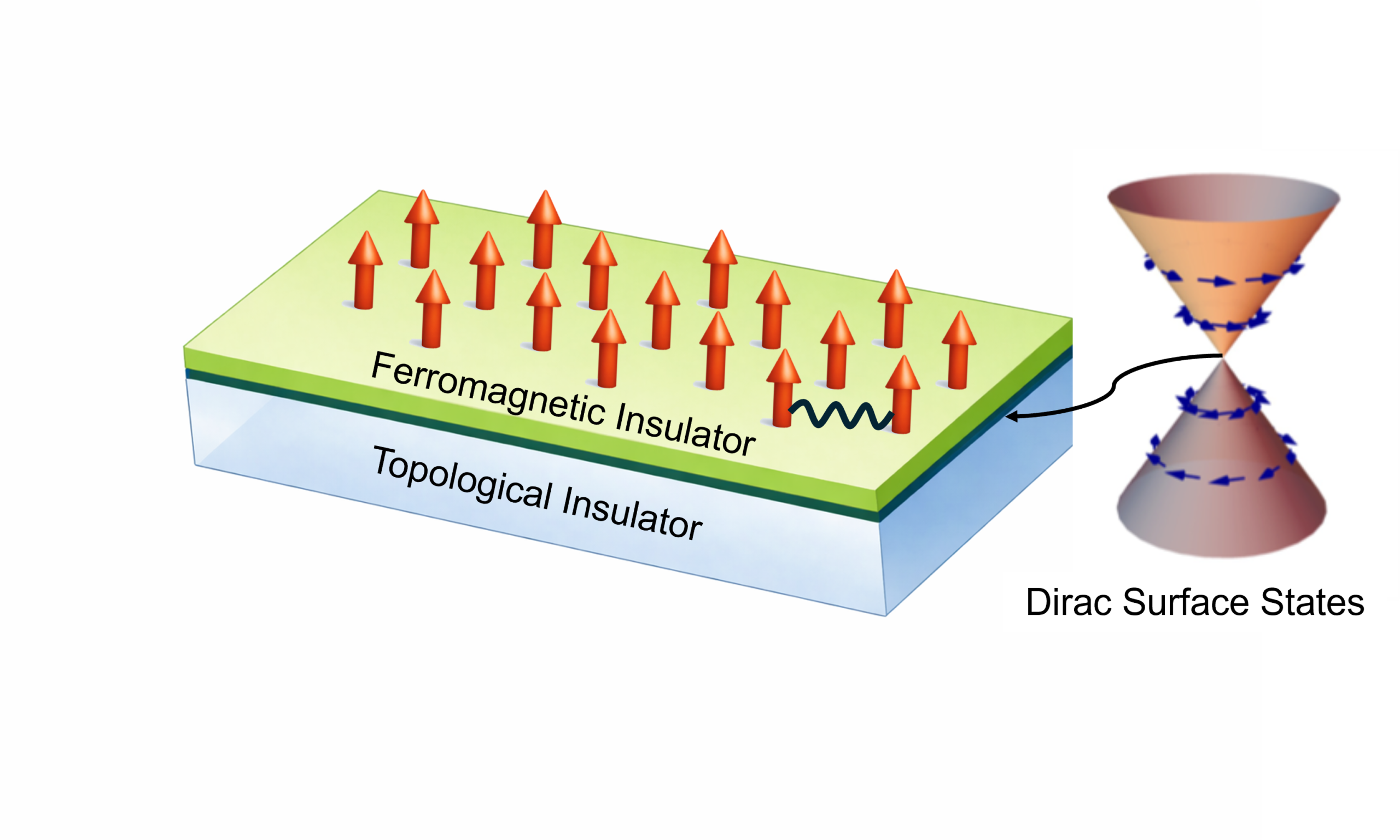 Schematic showing the Bloembergen-Rowland interaction (clack wavy line) between the local moments of a ferromagnetic insulator that is mediated by the Dirac surface states of a proximate topological insulator.