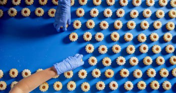 dozens of identical biscuits on a conveyor belt with gloved hands reaching over from either side