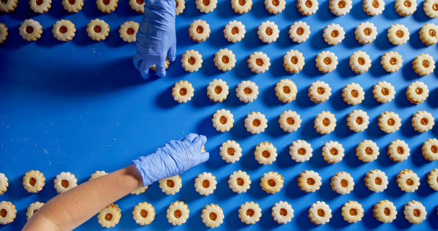 dozens of identical biscuits on a conveyor belt with gloved hands reaching over from either side