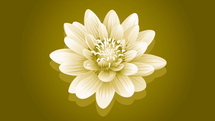 two-tone illustration of a flower