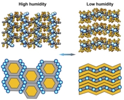 A 2x2 grid of diagrams. One column is labelled "high humidity" and the other is labelled "low humidity" The top row contains ball-and-stick chemical models, while the bottom row contains a more simplified, structural view. In both cases, the high humidity column has a hexagonal ordering, whereas the low humidity column shows a layered structure.
