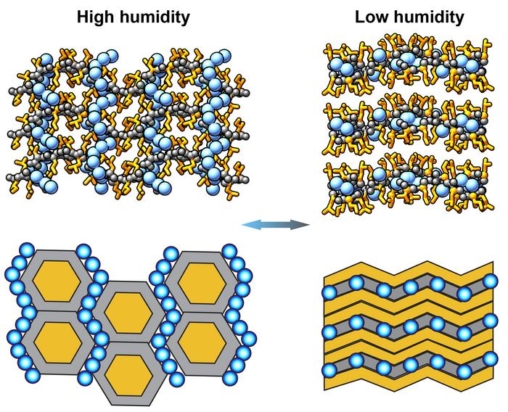 A 2x2 grid of diagrams. One column is labelled "high humidity" and the other is labelled "low humidity" The top row contains ball-and-stick chemical models, while the bottom row contains a more simplified, structural view. In both cases, the high humidity column has a hexagonal ordering, whereas the low humidity column shows a layered structure.