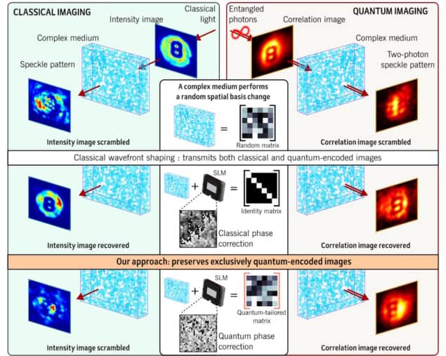 Entanglement-enabled image transmission