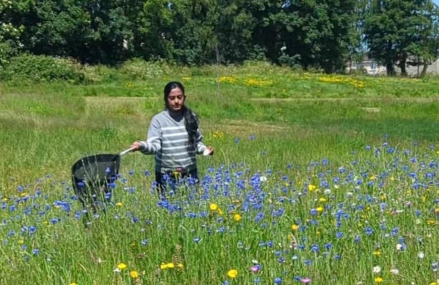 First author Linta Antony collecting insects