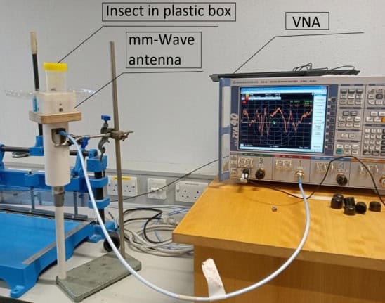 Radar identifies insect species via reflections from wingbeats