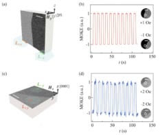 Four-image figure illustrating MOKE data. Images a and c show the domains themselves, which appear as boundaries between different shades of grey on a block of material. Images b and d show the MOKE signal when a square-wave magnetic field is applied to the material.