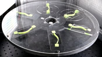 A still from a video showing six flexible strips of material on a wheel. When the wheel spins, the strips of material snap into left-bent or right-bent configurations depending on the dynamics of the spin.