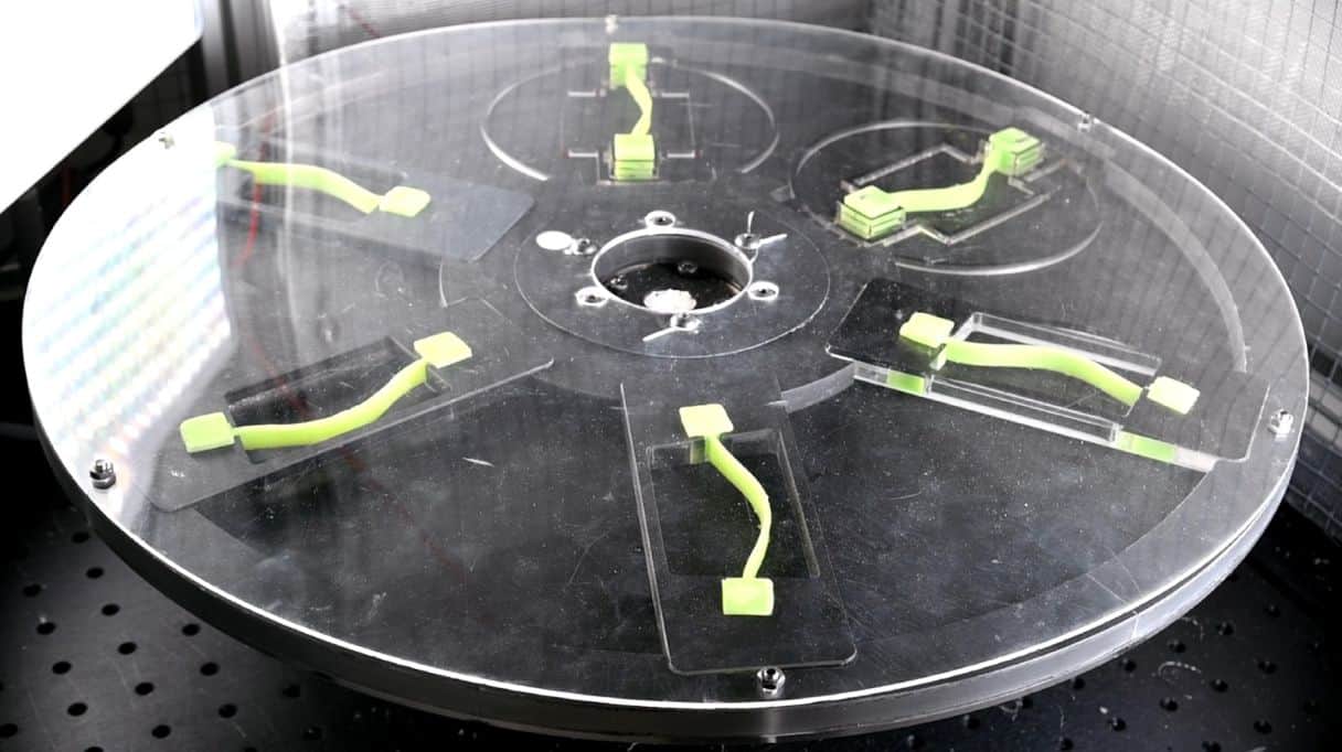 Physicists create mechanical memory device from slap-bracelet-like structures
