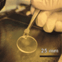 Photo of a person's gloved hand using tweezers to hold a transparent disk that contains a greyish circle 6 mm across, as shown by a 25 mm scale bar superimposed on the photo