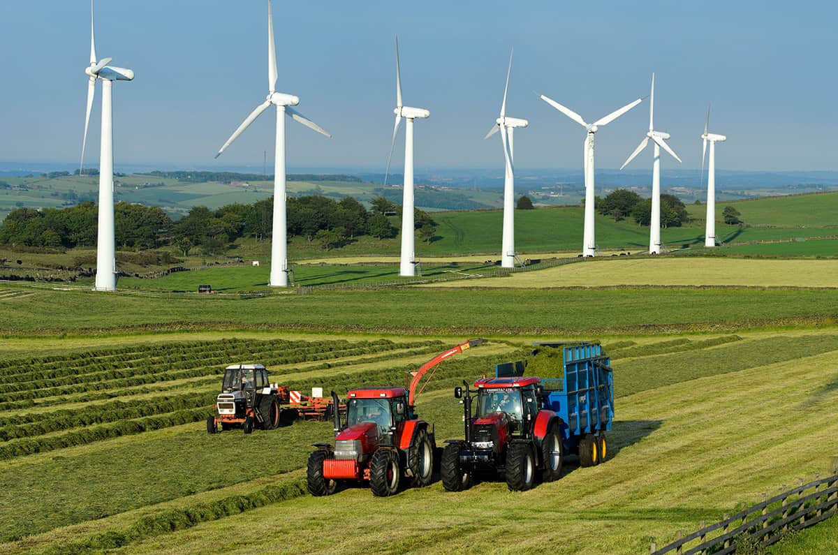 Agriculture and wind farms in close proximity