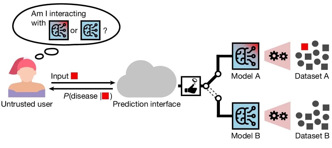Schematic of a membership inference attack