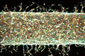 Illustration of artificial blood vessel