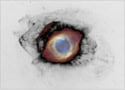 composite image of the Helix nebula